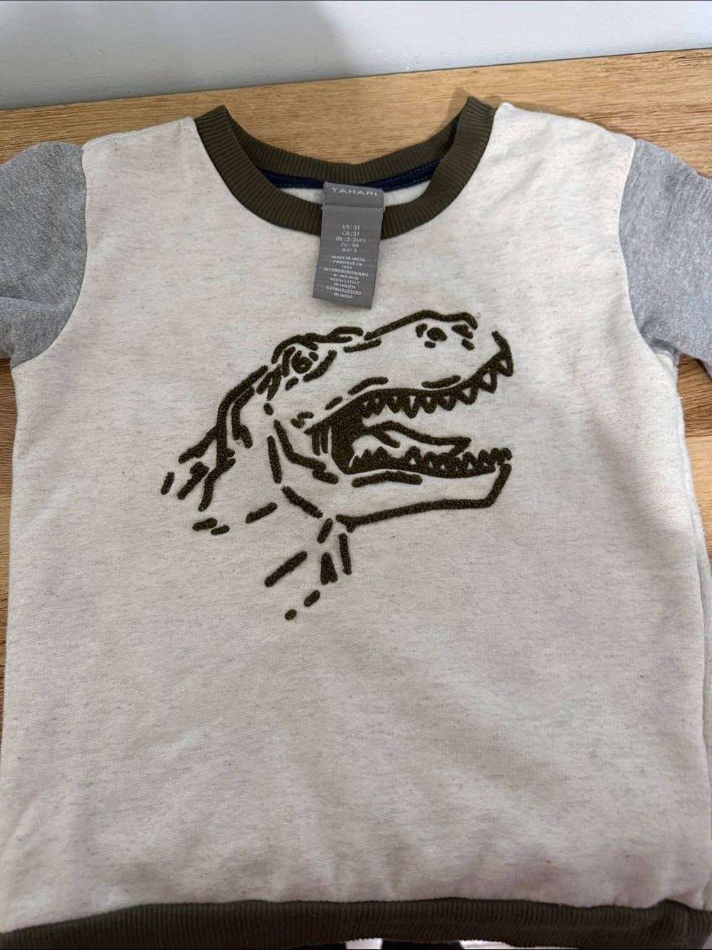 Tahari Cream Sweatshirt with Olive Dino Graphic and Gray Sleeves